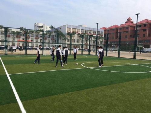 【貴州足球場圍網(wǎng)安裝標(biāo)準(zhǔn)】- 