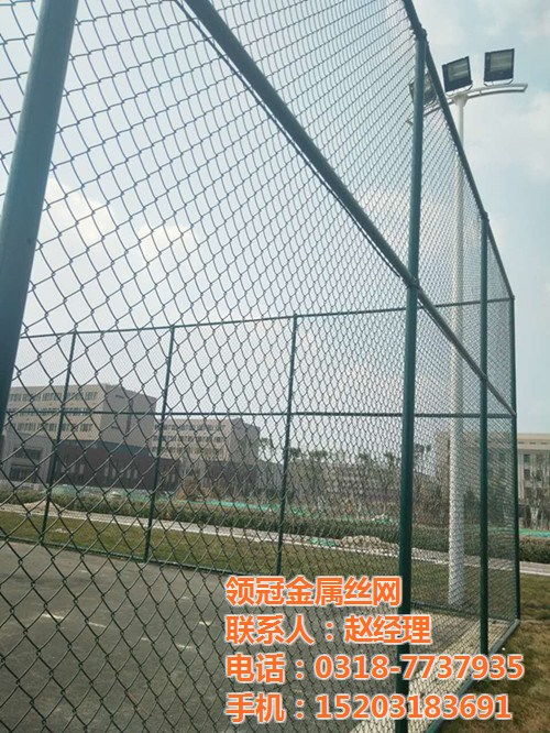體育場地圍網(wǎng)廠家報價 運動場圍網(wǎng)廠家施工安裝 足球球場圍網(wǎng)哪里賣