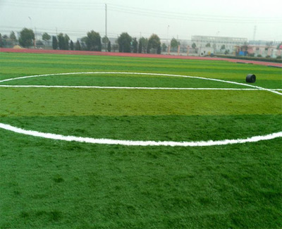 宿州人造草坪-人造草坪價(jià)格-安徽雙林(推薦商家)