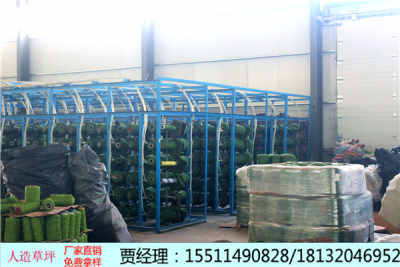 aa新聞 鹿寨縣足球場(chǎng)塑膠草坪多少錢 施工工藝工廠直銷
