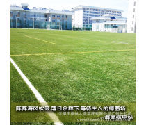 人造草足球場(chǎng)地優(yōu)質(zhì)商家置頂推薦產(chǎn)品