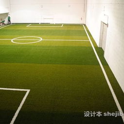 足球場(chǎng)裝修效果圖 設(shè)計(jì)本