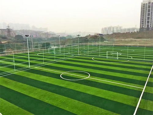 天津世紀宏達 人造草坪 人造草坪施工高清圖片 高清大圖