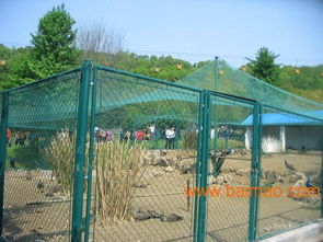 十堰山城公共區(qū)圍網(wǎng),勾花網(wǎng)護(hù)欄價格,公共場菱形圍欄,十堰山城公共區(qū)圍網(wǎng),勾花網(wǎng)護(hù)欄價格,公共場菱形圍欄生產(chǎn)廠家,十堰山城公共區(qū)圍網(wǎng),勾花網(wǎng)護(hù)欄價格,公共場菱形圍欄價格