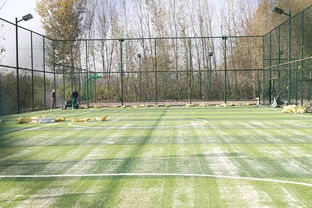 我家每天不一樣 打球,約不 這下好了,不出村就有專業球場