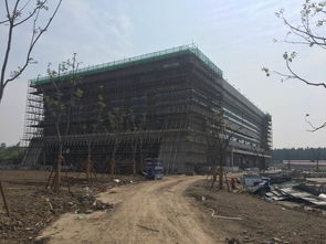 2018年6月7日至6月13日體育場地鋪裝現場工作紀實