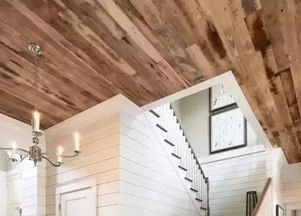 地板巧做吊頂 體育場(chǎng)館的驚艷天花板革命