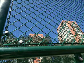 專業品質，穩固守護——田徑場圍網廠家與體育場地鋪裝一體化解決方案